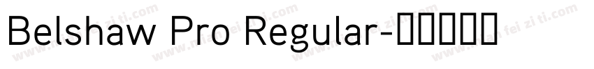 Belshaw Pro Regular字体转换